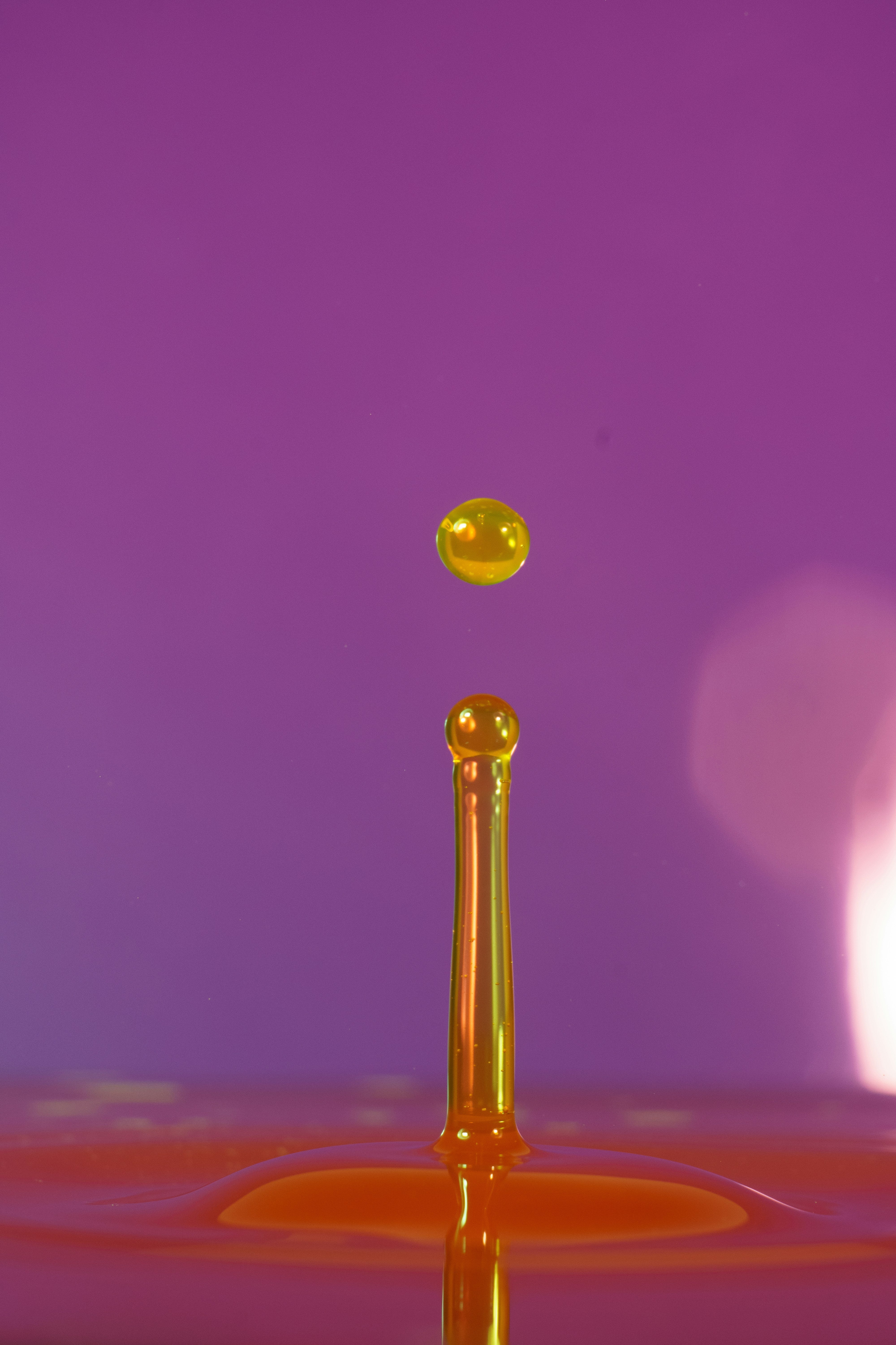 The Quiet Revolution in Dry Skin Care: Why Smart Skins Are Switching to Oils